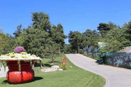 北京市石景山区八宝山革命公墓园区环境图