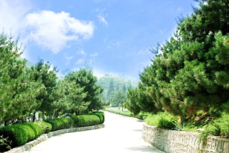 世界华侨陵园景观图