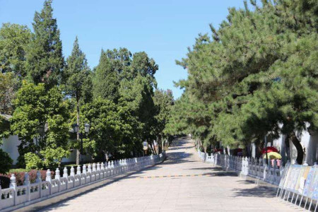 北京市石景山区八宝山革命公墓园区环境图