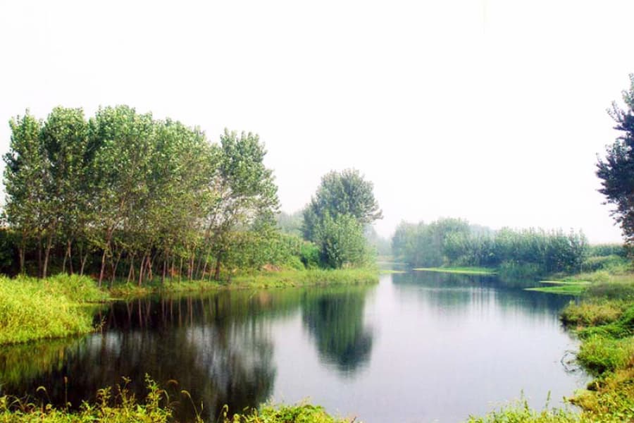 高静园景观图