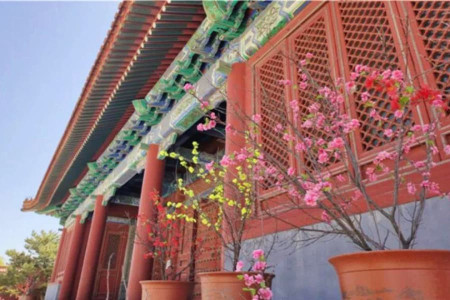 北京市海淀区西静园公墓园区环境图