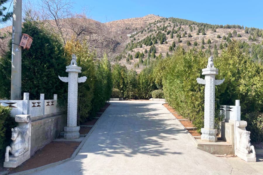 皇家龙山景观图