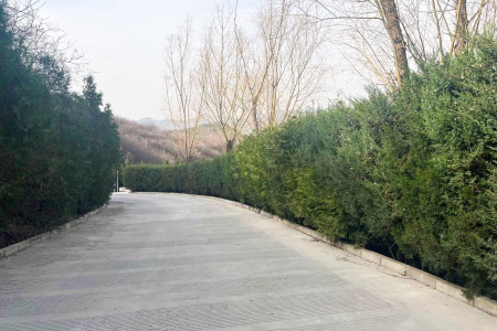 景仰园陵园景观图