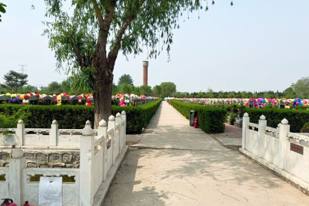北京市大兴区天堂墓园墓区环境图