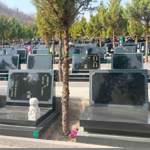 景仰园陵园传统立碑
