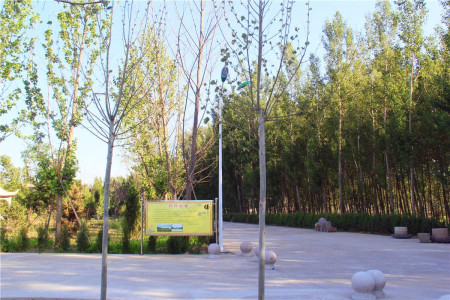涿州佛驿宫景观图