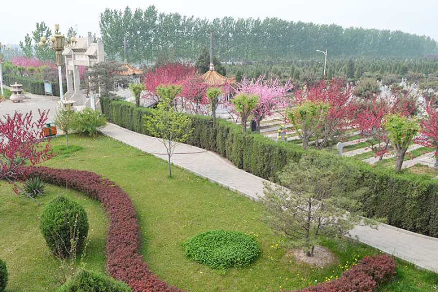 高静园景观图
