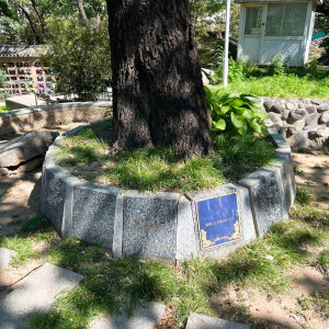 北京市门头沟区万佛华侨陵园生态葬树葬墓型1号