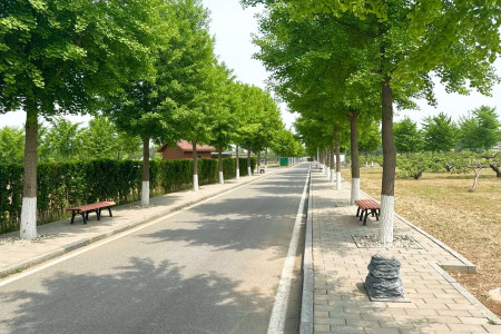 北京市大兴区天慈墓园园区环境图