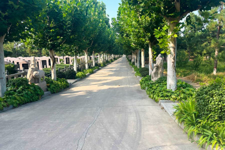 灵山宝塔墓区环境图