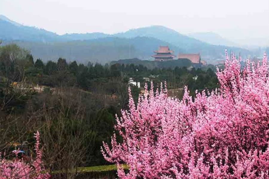 华龙皇家陵园景观图
