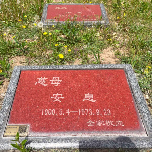 北京市朝阳区长青园骨灰林传统卧碑墓型2号