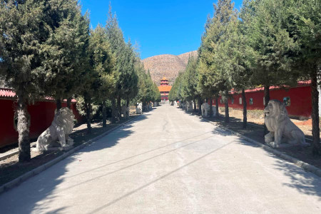 皇家龙山景观图