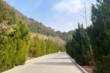 景仰园陵园景观图