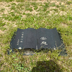 北京市朝阳区长青园骨灰林传统卧碑墓型1号