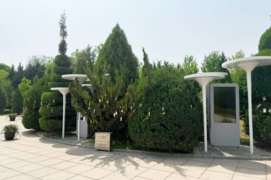 北京市朝阳区长青园骨灰林园区环境图