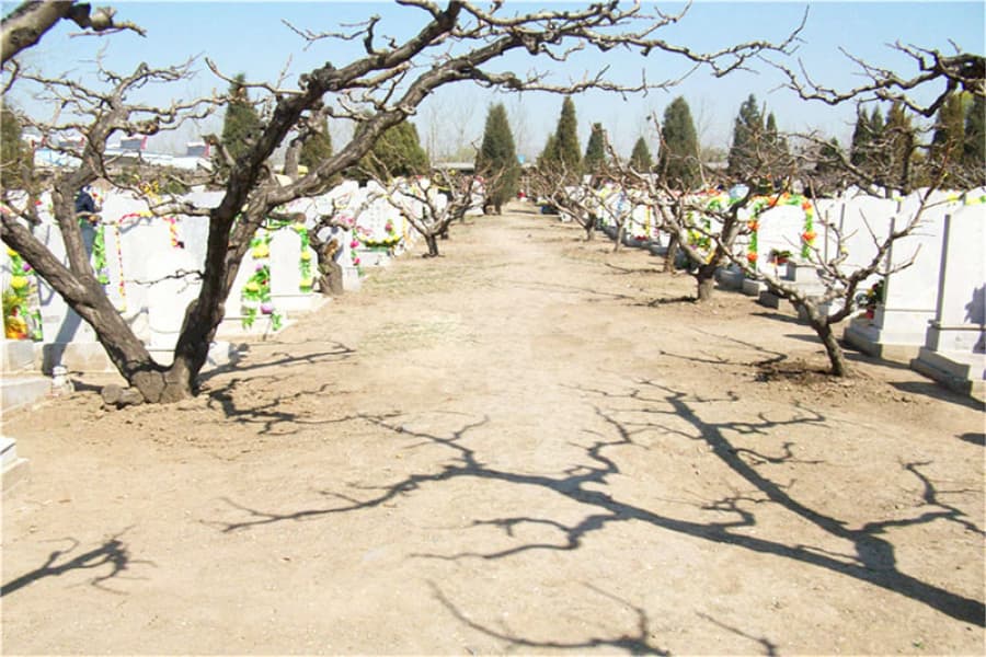 北京市海淀区西静园公墓墓区环境图