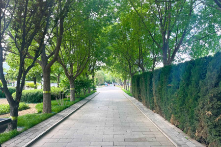 北京市海淀区万安公墓园区环境图