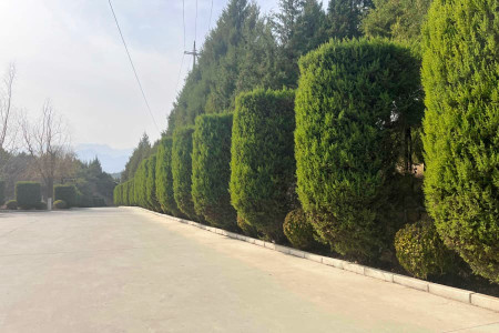 景仰园陵园景观图