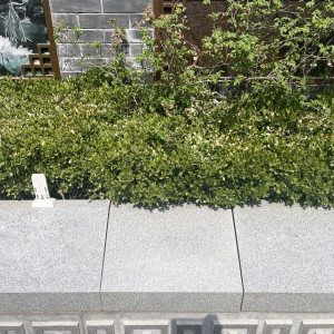 天寿陵园草坪葬