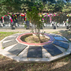 北京市顺义区潮白陵园生态葬树葬墓型2号