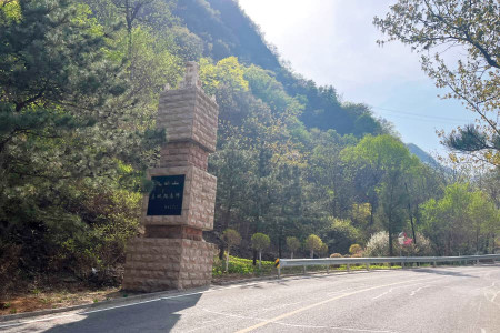 九公山长城纪念林景观图